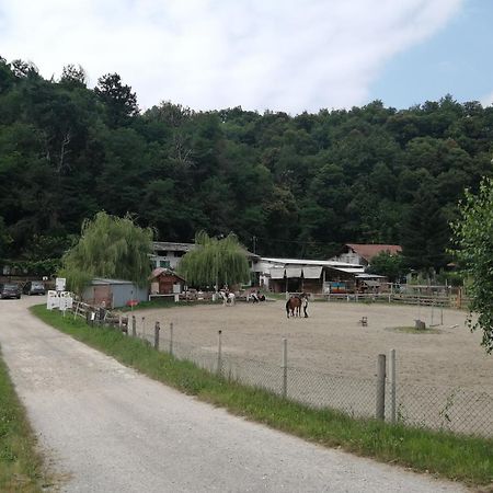 Locazione Turistica Varaita-Brossasco Exterior foto